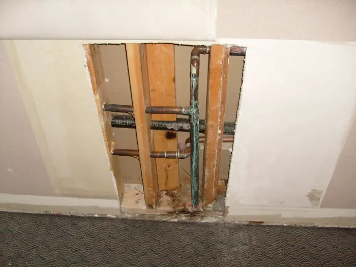 Dr Mold Removal Service Picture 1