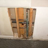 Dr Mold Removal Service ico