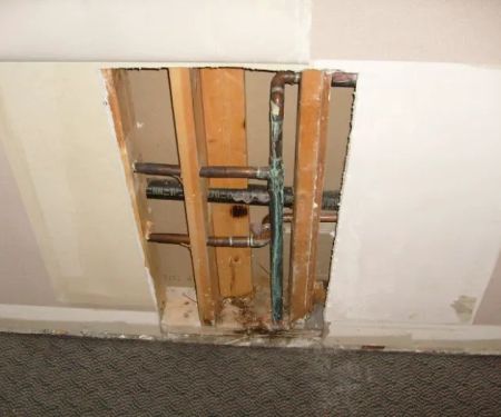 Dr Mold Removal Service