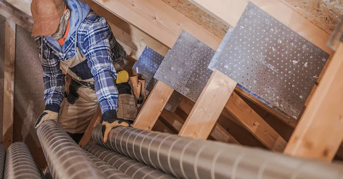 Dr Mold Removal Service Picture 6