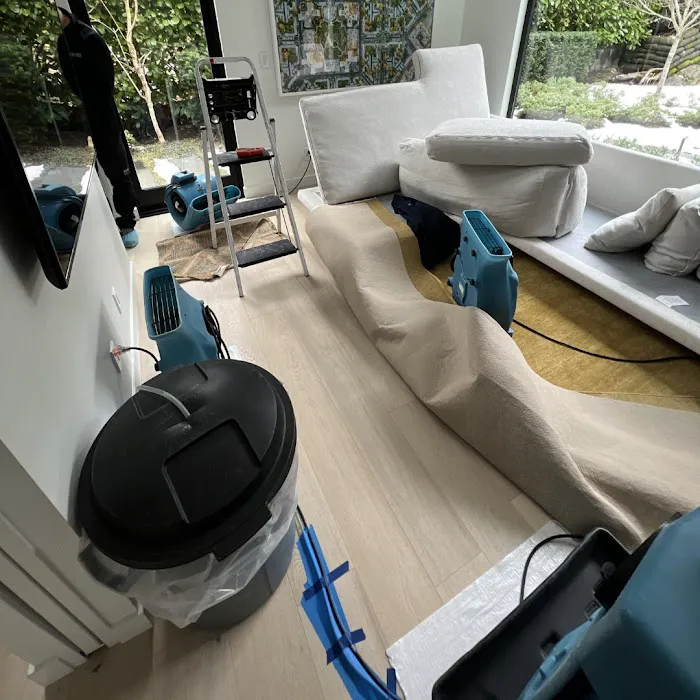 Dr Mold Removal Service Picture 10