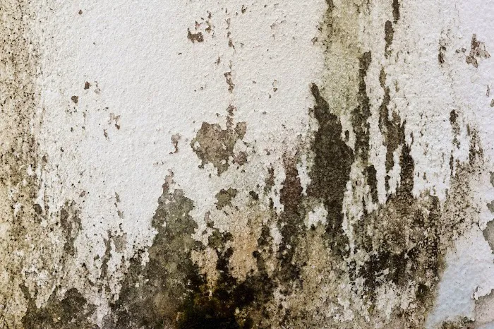 Water Damage Services - Titan Restoration Picture 8