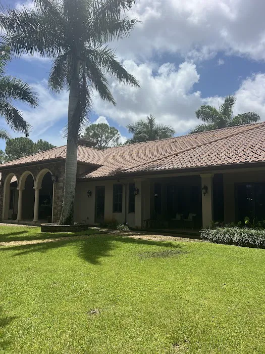 Hydra Pressure Cleaning & Restoration Picture 5