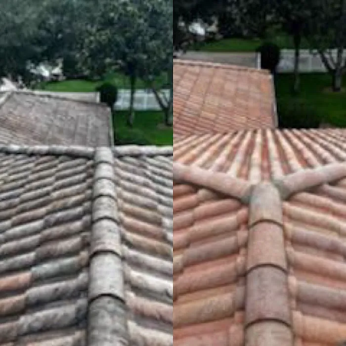 Hydra Pressure Cleaning & Restoration Picture 8