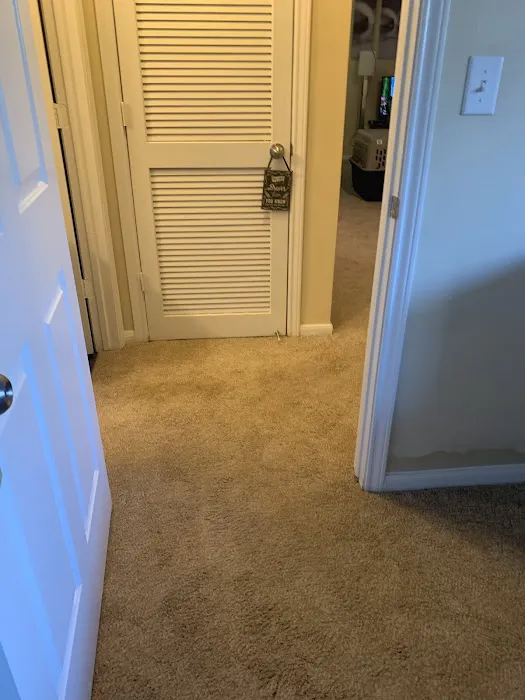 All Dry Services of Jupiter Picture 5