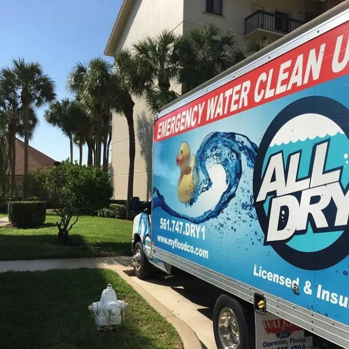 All Dry Services of Jupiter Picture 3