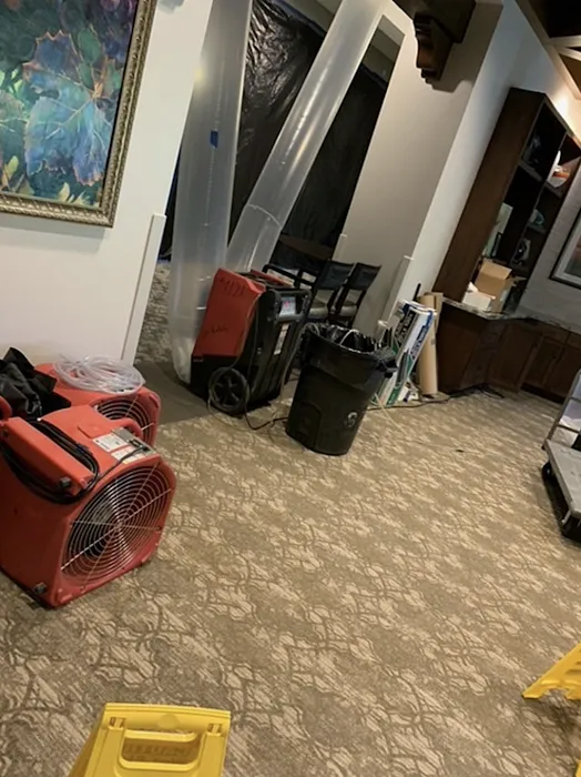 All Dry Services of Jupiter Picture 8