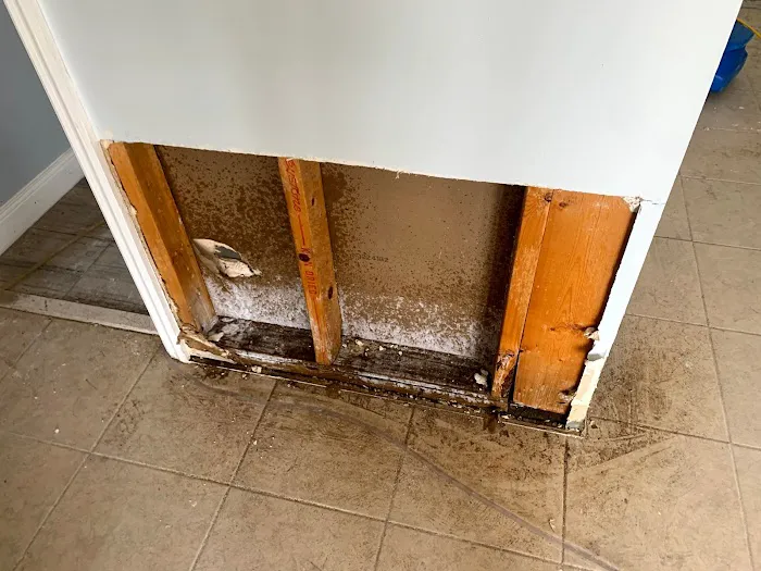 Dry Pro Water Fire Mold Inc Picture 8