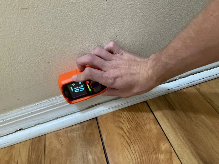 A.I.S Mold Testing Picture 1