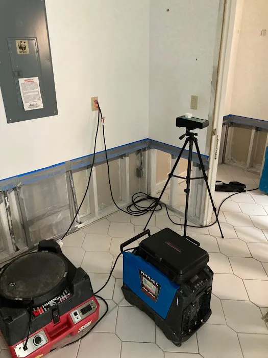 A.I.S Mold Testing Picture 5