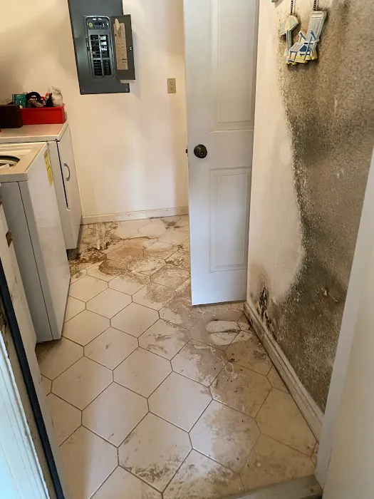 A.I.S Mold Testing Picture 4