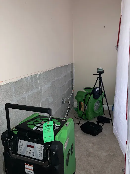 A.I.S Mold Testing Picture 9