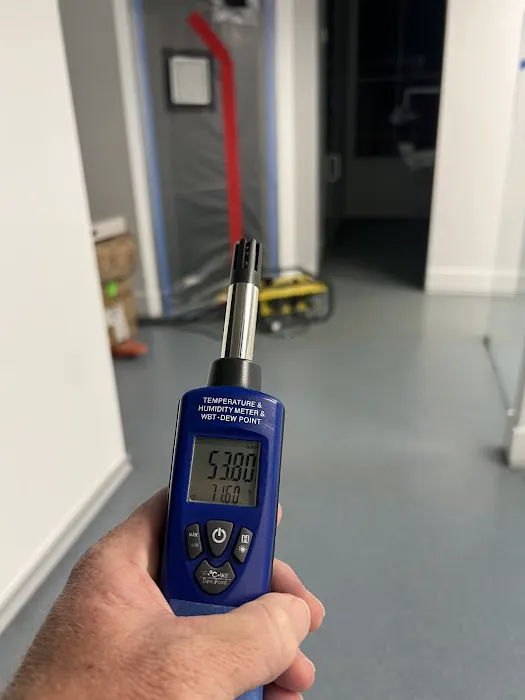 A.I.S Mold Testing Picture 8