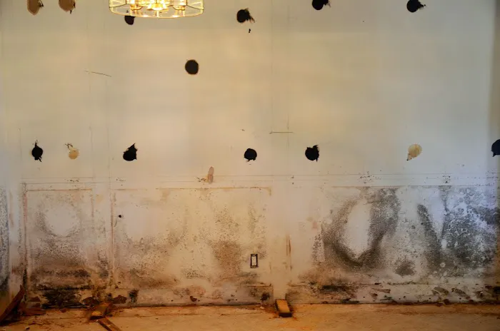 LJW Associates, LLC Picture 10