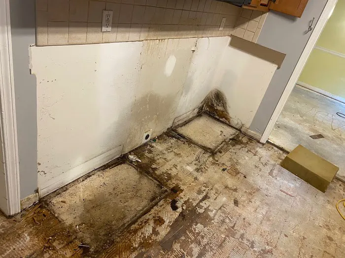 Clymore Mold Solutions Picture 2