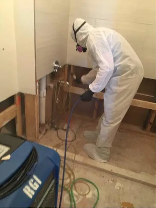 Remediation Group Picture 8