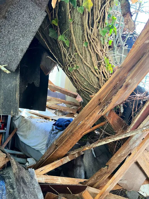 PuroClean of Midtown Atlanta Picture 4