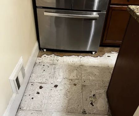 Immediate Response LLC