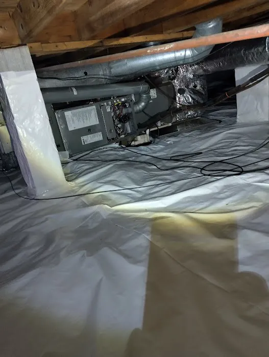 Atlanta Mold & Cleaning | Mold Remediation and Water Restoration Services Picture 1