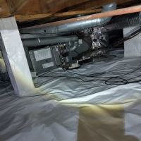 Atlanta Mold & Cleaning | Mold Remediation and Water Restoration Services ico