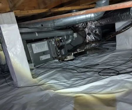 Atlanta Mold & Cleaning | Mold Remediation and Water Restoration Services