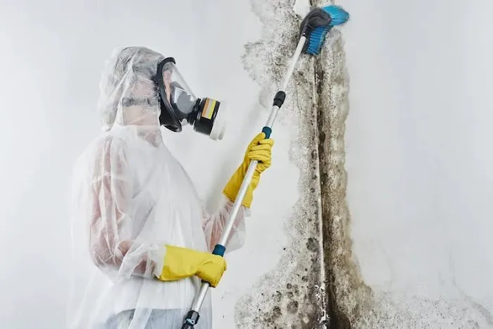 Atlanta Mold & Cleaning | Mold Remediation and Water Restoration Services Picture 6