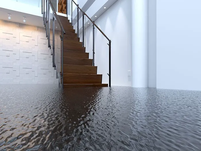 Atlanta Mold & Cleaning | Mold Remediation and Water Restoration Services Picture 9