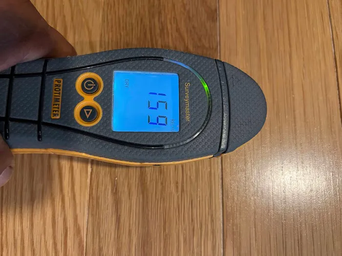 USA Restoration Picture 2