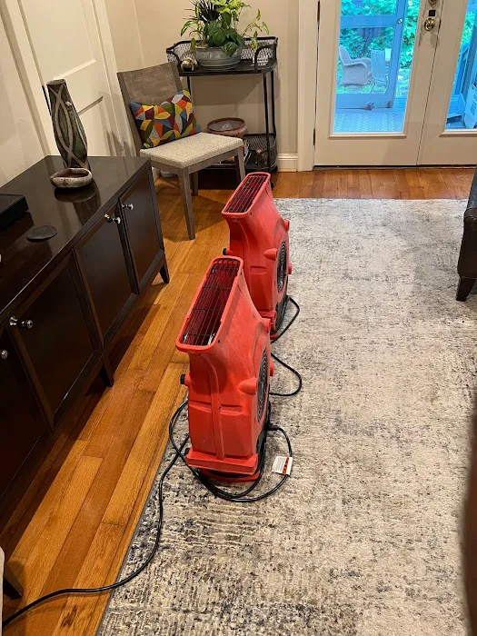 USA Restoration Picture 3