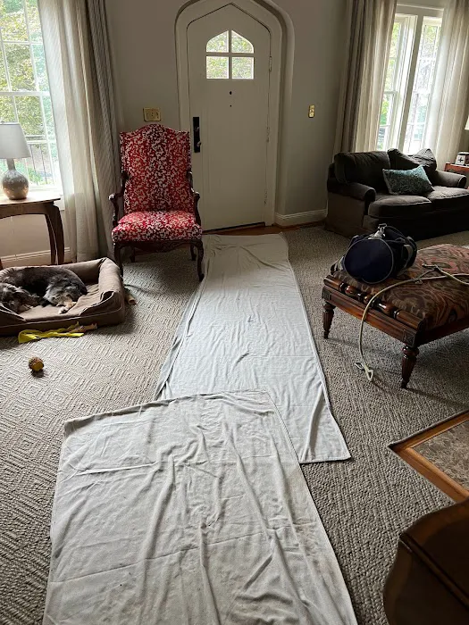 USA Restoration Picture 5