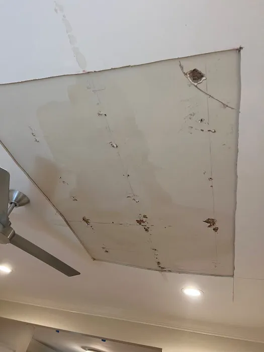 USA Restoration Picture 6