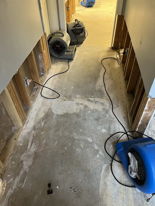 USA Restoration Picture 4