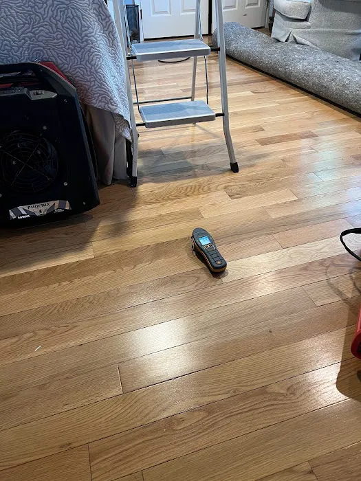 USA Restoration Picture 10