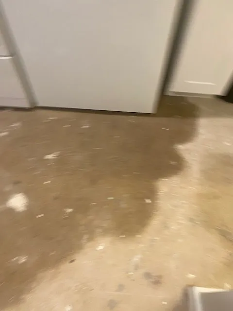 Flood Cleanup Masters Picture 8