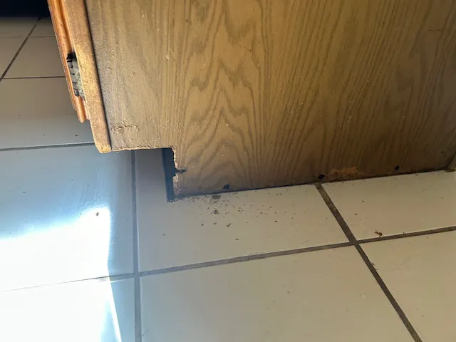 Flood Cleanup Masters Picture 9