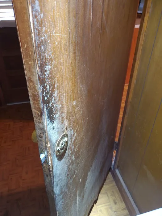 Atlanta Mold Picture 4