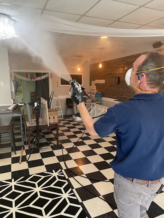 Atlanta Mold Picture 6