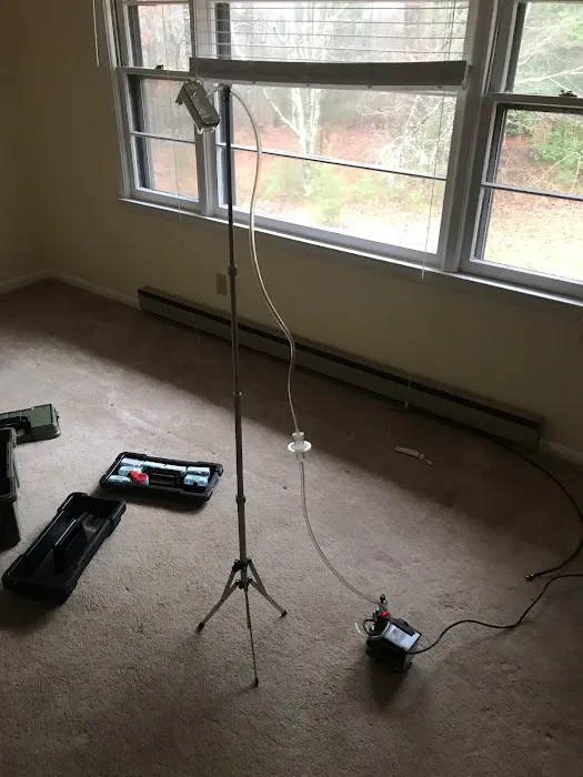 Atlanta Mold Picture 8