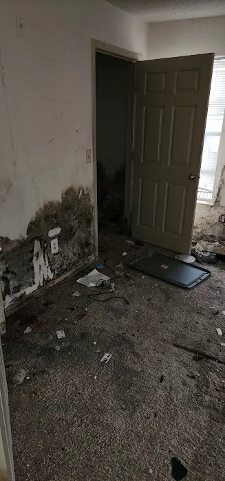 Atlanta Mold Picture 10