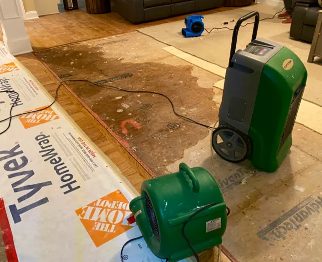 Big Top LLC Picture 2