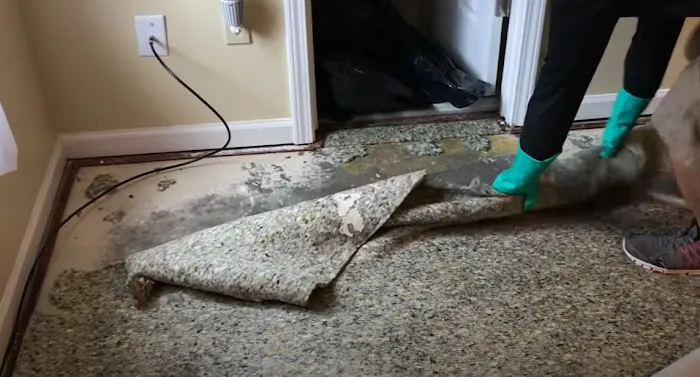 Certified Mold & Water Damage Restoration LLC Picture 2