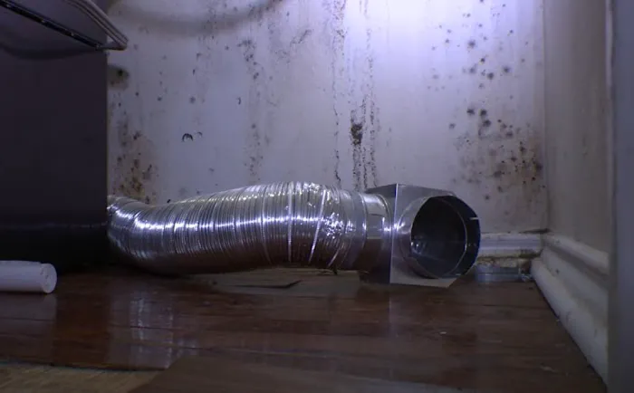 Certified Mold & Water Damage Restoration LLC Picture 3