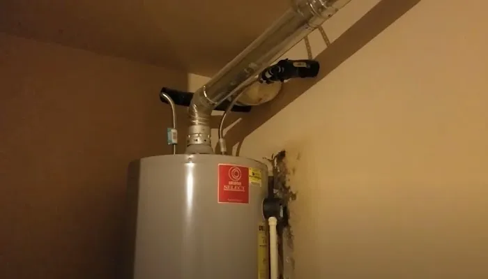 Certified Mold & Water Damage Restoration LLC Picture 5