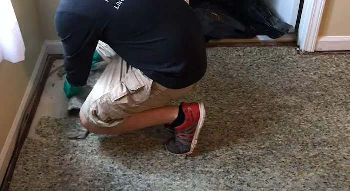 Certified Mold & Water Damage Restoration LLC Picture 6