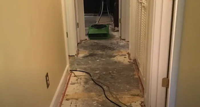 Certified Mold & Water Damage Restoration LLC Picture 7