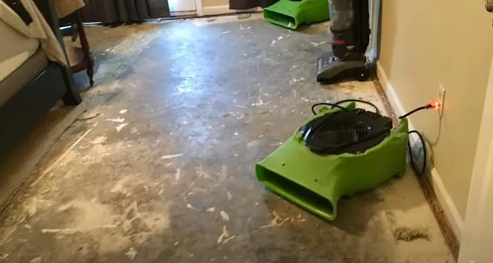 Certified Mold & Water Damage Restoration LLC Picture 8