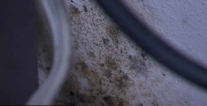 Certified Mold & Water Damage Restoration LLC Picture 9