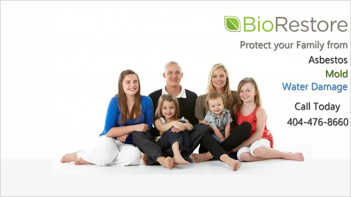 BioRestore Asbestos & Mold Picture 2