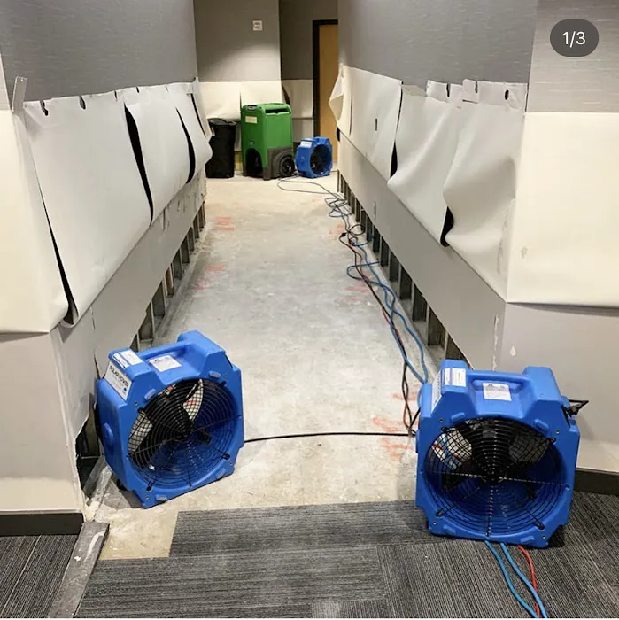 W.I.T Services Picture 6