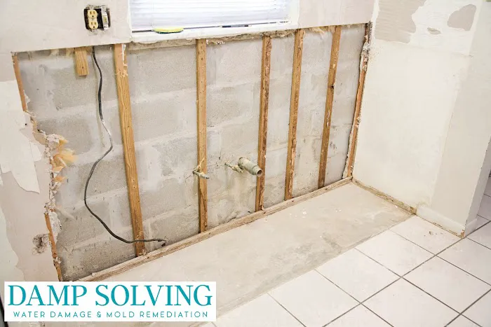 Damp Solving Water & Mold Picture 4